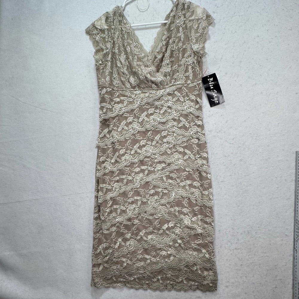 Blu Sage Lace Sheath Dress Womens 12 Taupe Sequined Tiered Wedding Guest 268557